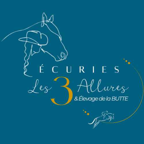 logo ecuries les 3 allures